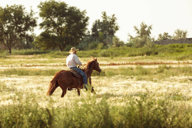 istock preparing to ride in the rodeo 833626042