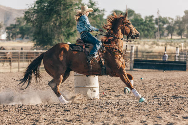 istock preparing to ride in the rodeo 833628304