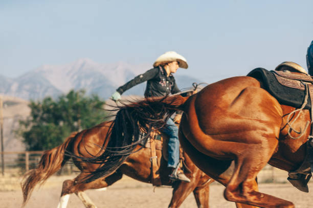 istock preparing to ride in the rodeo 833628556