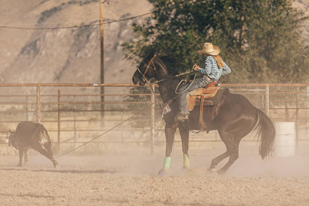 istock preparing to ride in the rodeo 833628566