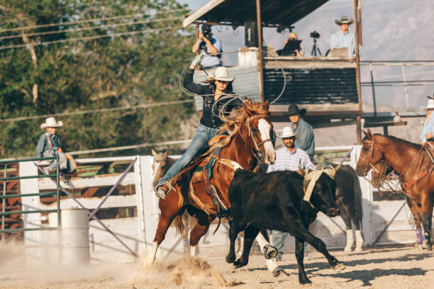 istock preparing to ride in the rodeo 833628600