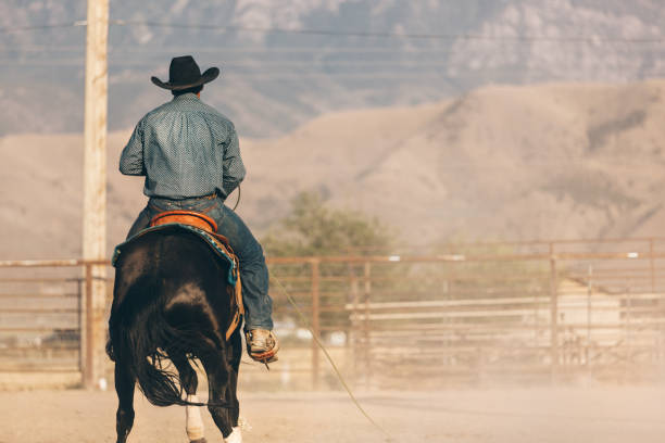 istock cowboy at the rodeo 833628676
