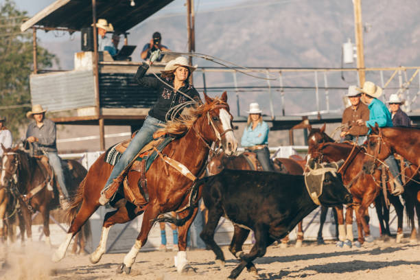 istock preparing to ride in the rodeo 833628704