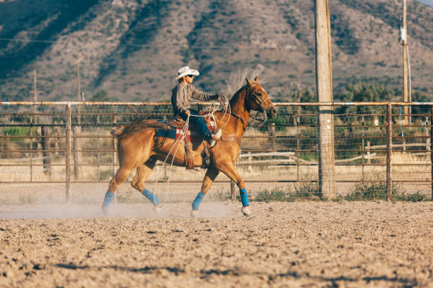 istock preparing to ride in the rodeo 833629082