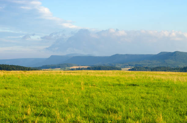 istock Landscape with meadows and hills 833632866