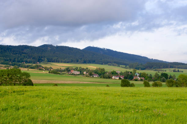 istock Landscape with meadows and hills 833633886