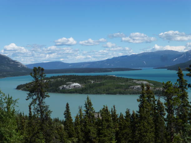 istock Bove Island, Yukon 833646926