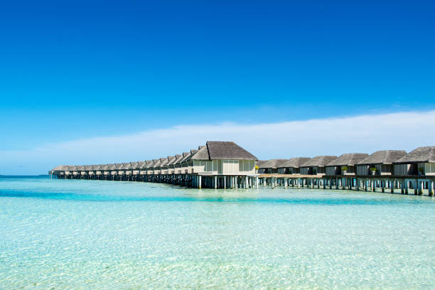 Tranquil closeup calm sea water waves with palm trees. Beautiful Panorama, Tropical island beach landscape exotic shore coast. Summer vacation, holiday amazing nature. Relax paradise, Maldives.