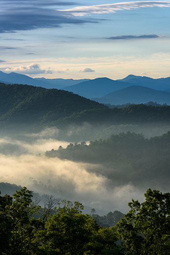 View from overlook in Great Smoky Mountains National Park.
