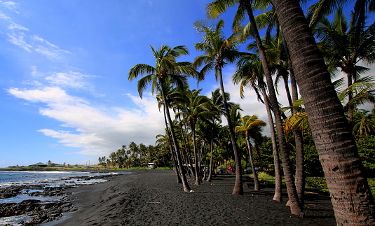 Wide shot of Punalu'u black sand beach, big Island Hawaii