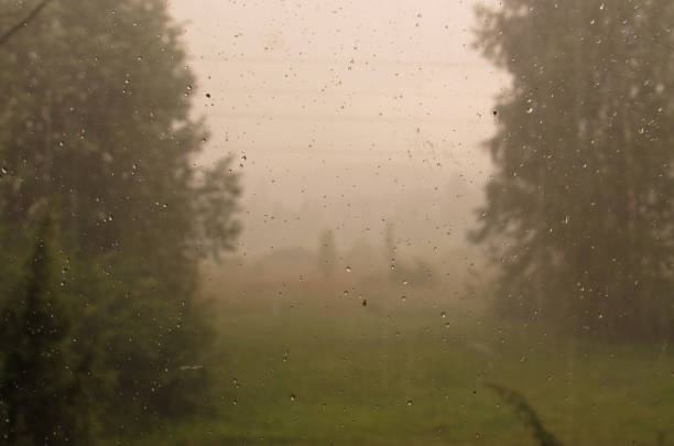 istock The rain outside the window 833711538