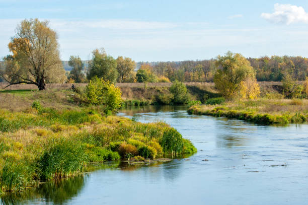 istock Autumn trees with yellow leaves near the river 833715384