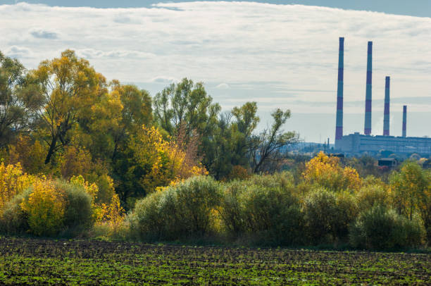 istock autumn yellow trees CHP combined heat and power, 833715832