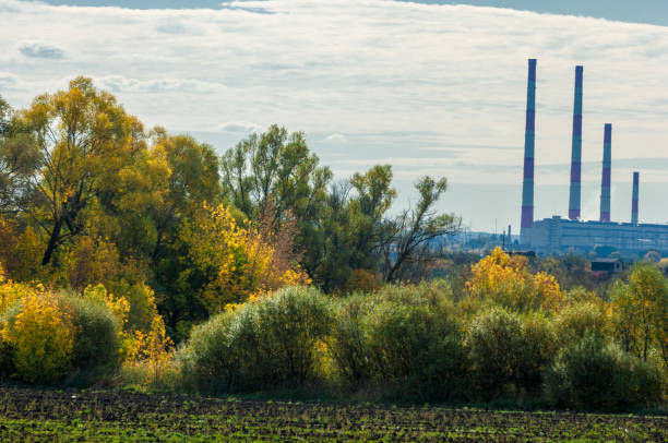istock autumn yellow trees CHP combined heat and power, 833715936