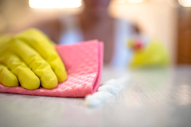 istock Keeping his house clean and tidy 833716412