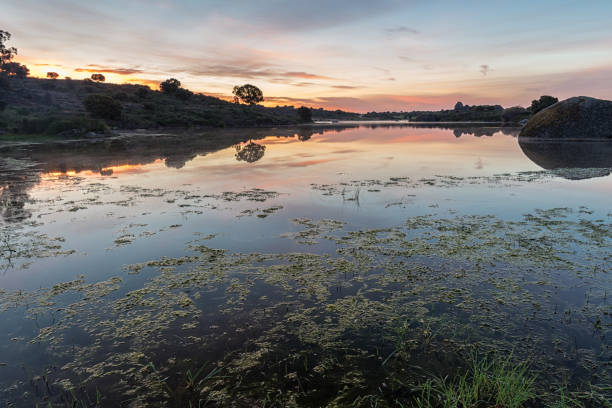 istock Natural Area of Barruecos 833728514