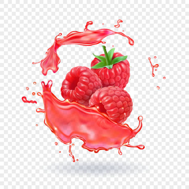 ilustrações de stock, clip art, desenhos animados e ícones de raspberry juice fresh fruit splash vector illustration - framboesa