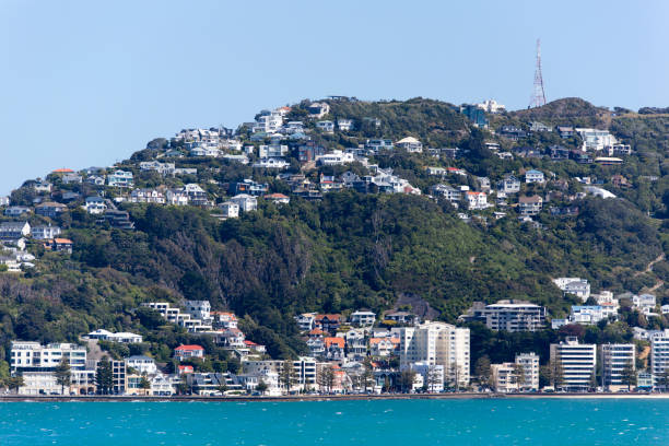 istock Wellington City Suburb 833735756