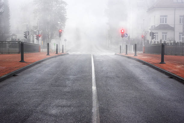 istock Boulevard in Slovenia surrounded by mist 833735848