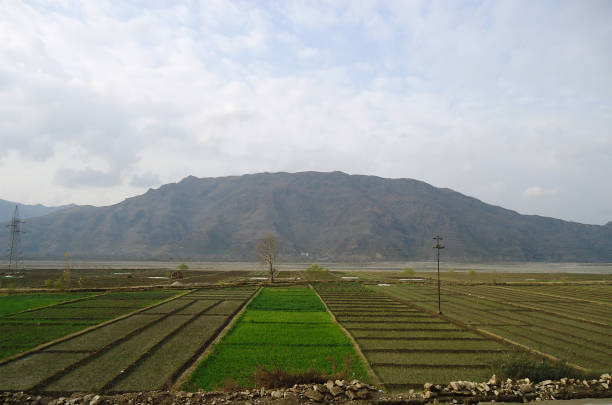 istock Agriculture land hill view 833739320