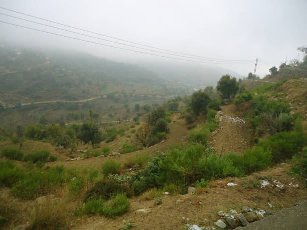 istock Beautiful Green hills view 833739380