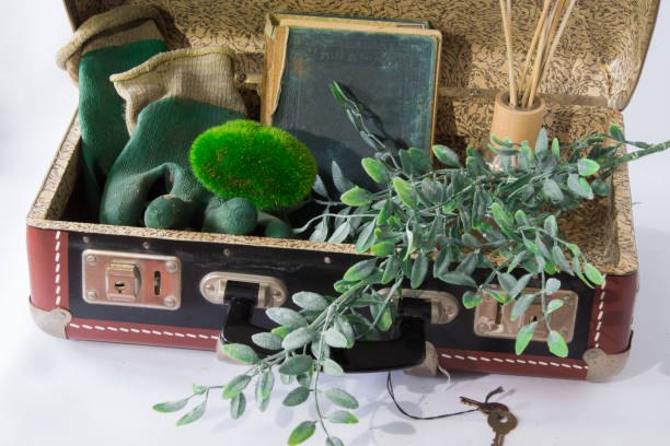 istock book, green twig, gloves in vintage suitcase 833739850