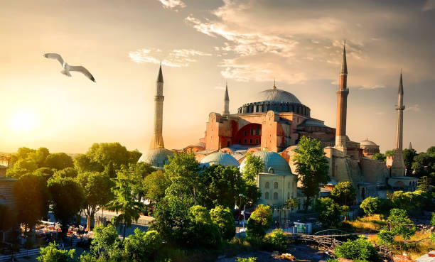 Bird and Hagia Sophia Bird and Hagia Sophia at sunset in Istanbul, Turkey hagia sophia istanbul photos stock pictures, royalty-free photos & images