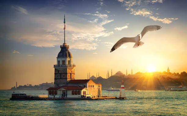 Seagull and Maiden Tower Seagull fliying near Maiden's Tower in Istanbul at sunset, Turkey maidens tower turkey photos stock pictures, royalty-free photos & images