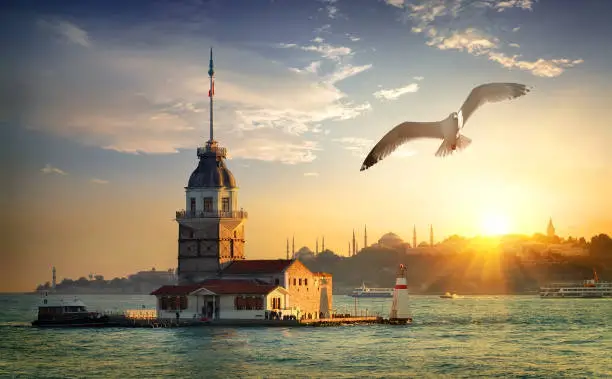 Seagull fliying near Maiden's Tower in Istanbul at sunset, Turkey