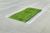 Sod/grass placed in parking stall.