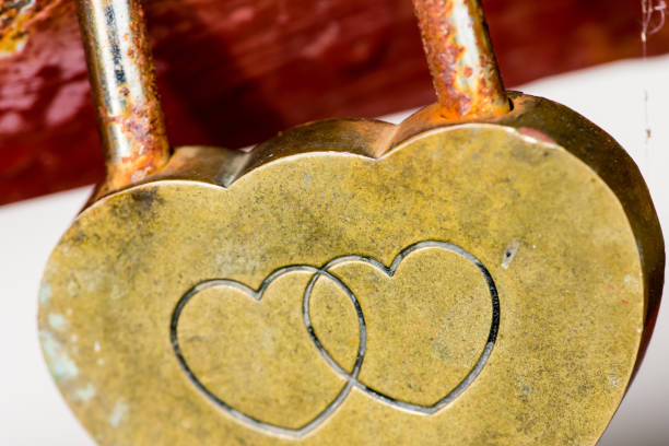 istock macro shot of a steel lock 833755110