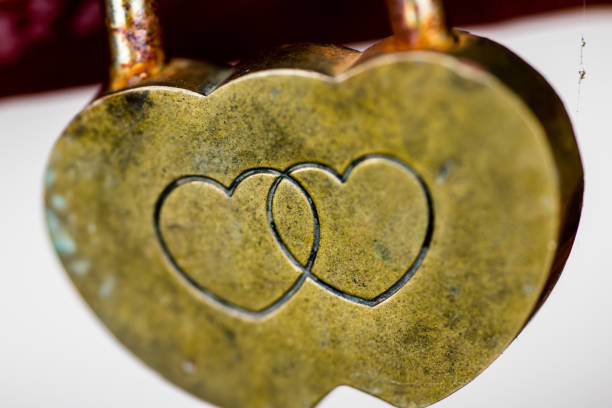 istock macro shot of a steel lock 833757908