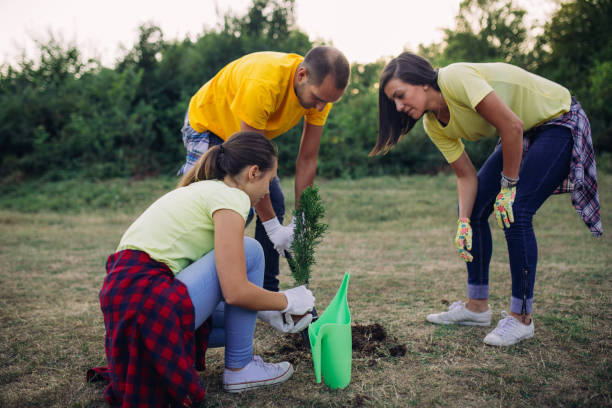 istock Planting seedlings in the park 833768074