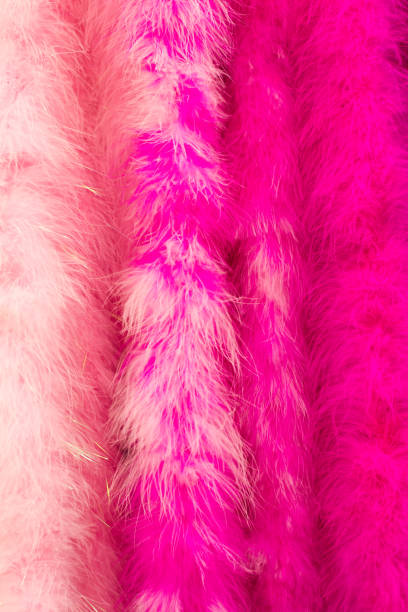 istock Pink Feather Boas Lined Up (Close-Up) 833771186