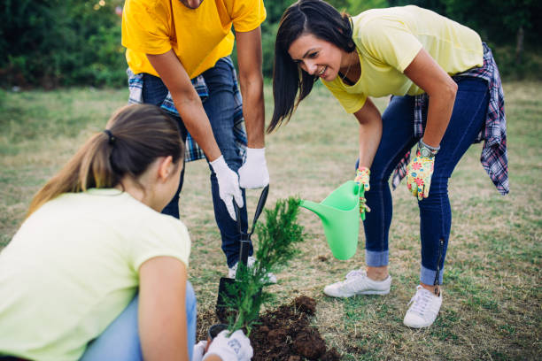istock Volunteers watering seedlings 833771712