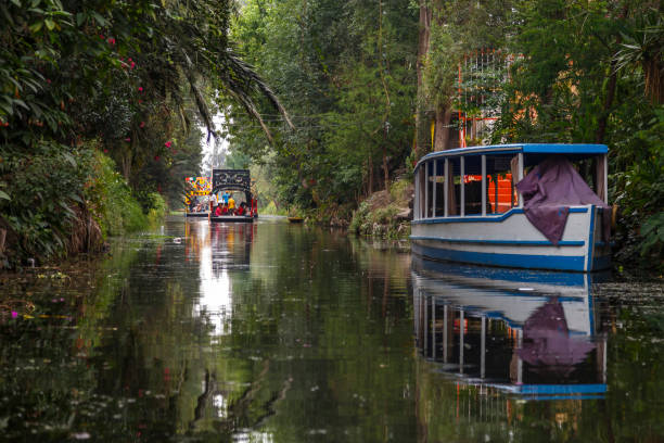 Trajineras, Xochimilco Canal in Mexico City Trajinera ride on a canal in Xochimilco mexico city stock pictures, royalty-free photos & images