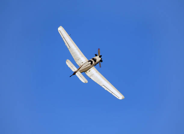 istock Small piston aircraft of the small passenger aviation 833789246