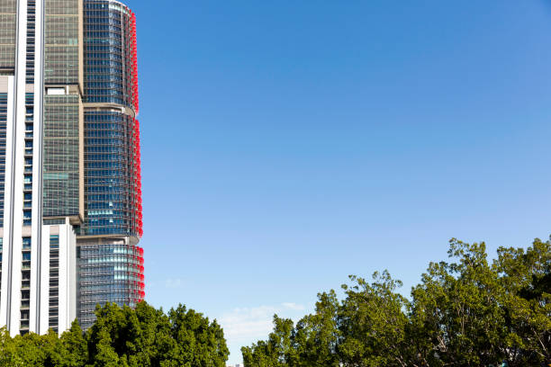 istock Skyscrapers, sky and trees, Sydney Australia, background with copy space 833789374