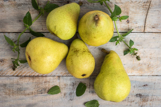 istock Fresh organic pears on old wood. Fruit background. Pear autumn harvest 833792792