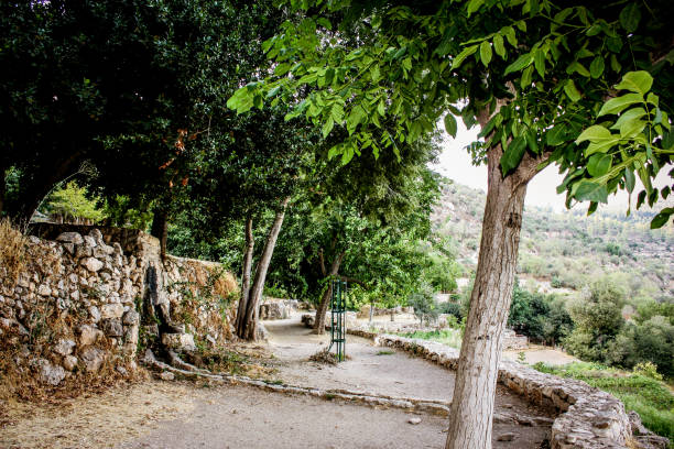 istock Hiking in the nature around Jerusalem in Israel 833832668