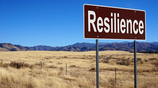 Resilience road sign with blue sky and wilderness