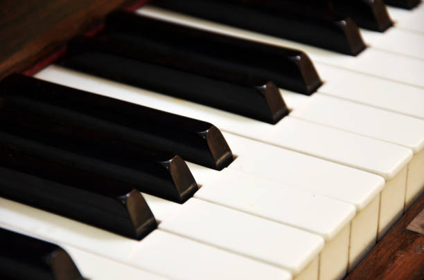 istock Old grunge piano keyboard 833838834