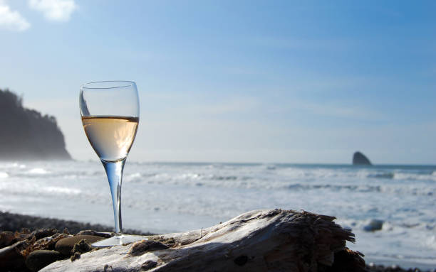 istock White wine on driftwood against the Pacific Ocean 833839156
