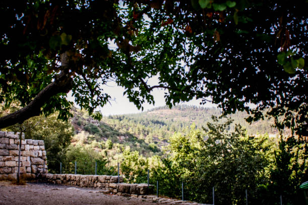 istock Hiking in the nature around Jerusalem in Israel 833856696