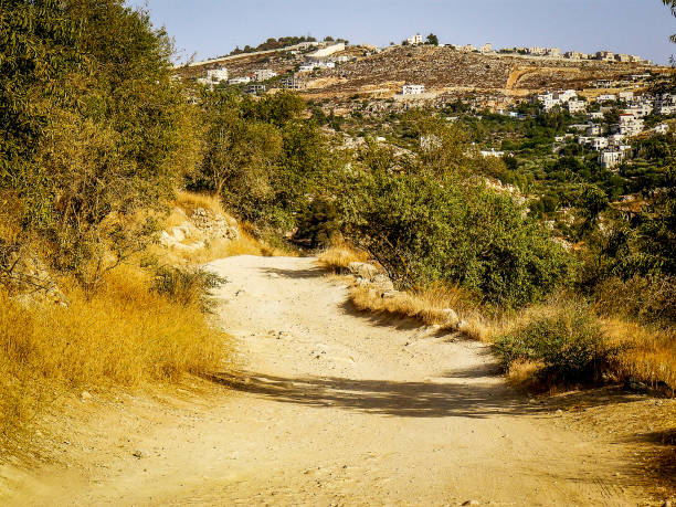 istock Hiking in the nature around Jerusalem in Israel 833856954