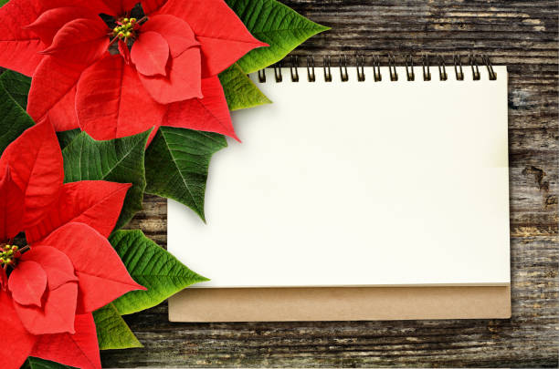 istock Notebook with Christmas poinsettia flowers 833884312