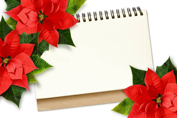 istock Christmas poinsettia flowers and note 833884344
