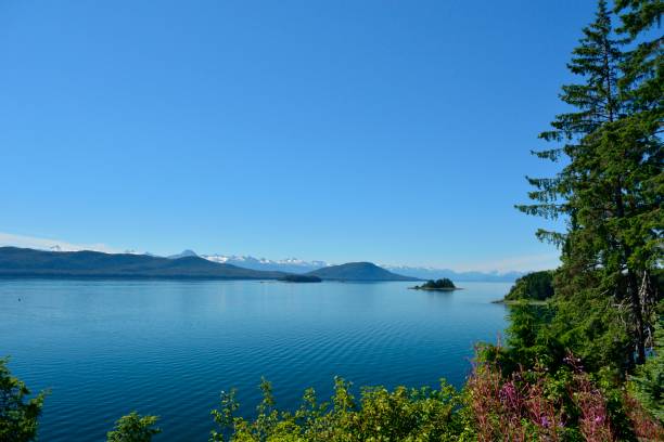 istock Favorite Channel and Sheter Island - Alaska 833894530