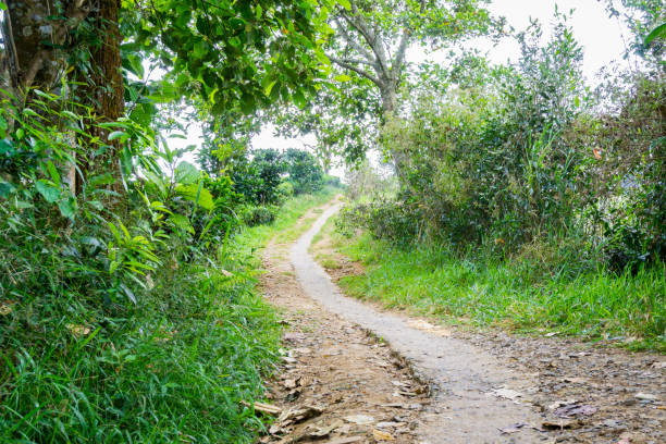 istock The footpath to hill 833899798