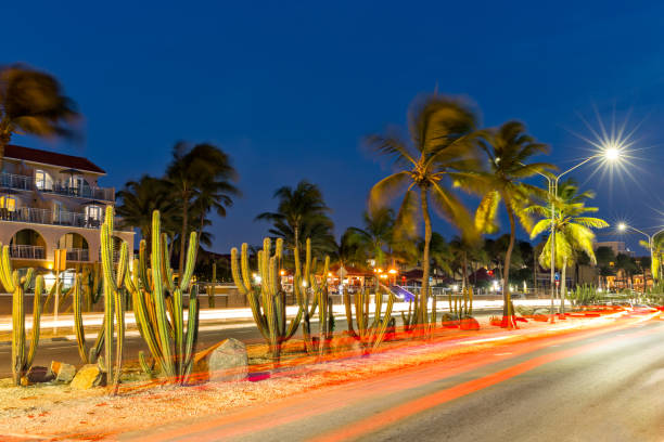 istock Traffic trails on JE Irausquin boulevard in Aruba 833918242